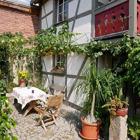 Bachmanns Witwe * Naumburg (Saale)