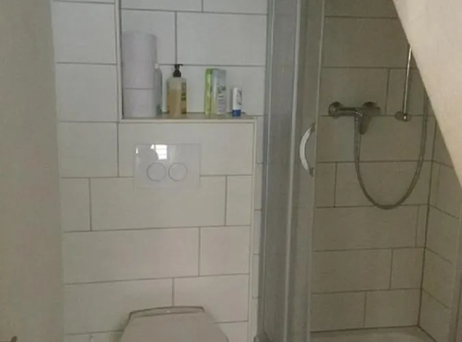 Bachmanns Witwe * 나움부르크