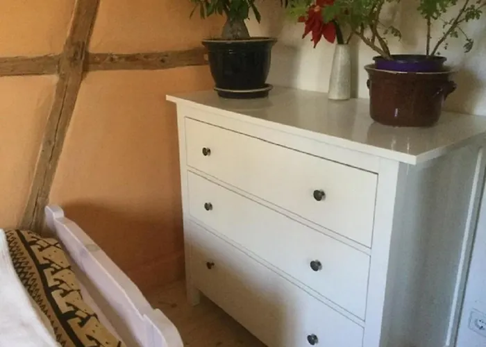 Bachmanns Witwe Naumburg (Saale)