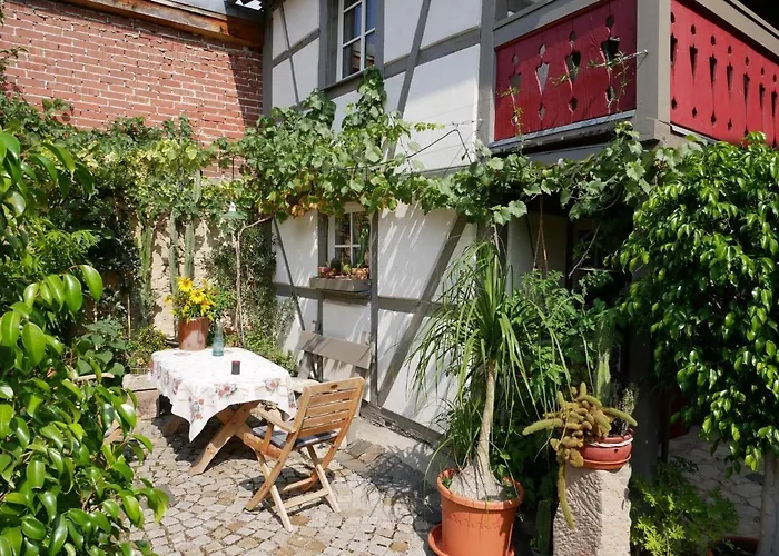 Bachmanns Witwe * Naumburg (Saale)